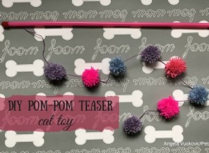 DIY Pom-Pom 티저 고양이 장난감