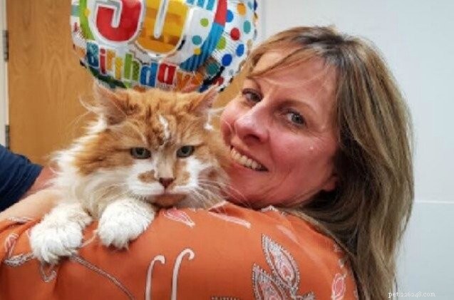 Oudste kat in het Verenigd Koninkrijk bereikt de grote drie-Oh!