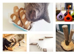 Etsy에서 구입할 수 있는 Pawsome Cat 제품