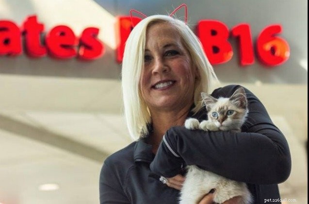 Un câlin de chaton à l aéroport de Charlotte est un régal avant le vol ronronnant