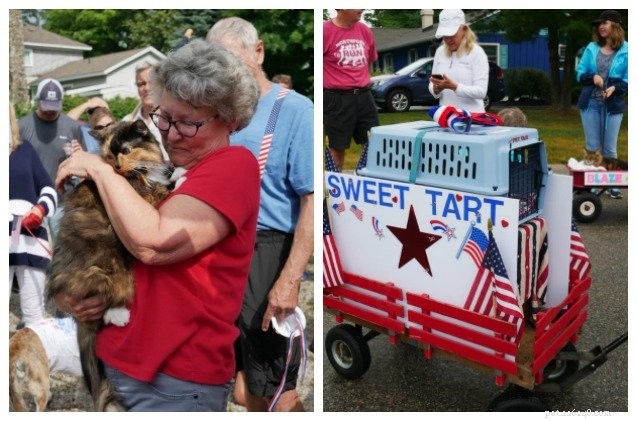 Michigan Town은 Kitty Hall을 운영하기 위해 Sweet Tart 고양이를 선출했습니다.