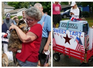 Michigan Town은 Kitty Hall을 운영하기 위해 Sweet Tart 고양이를 선출했습니다.