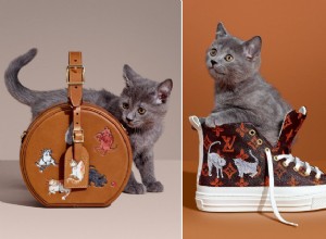 Новая коллекция Louis Vuitton — кошачье мяу