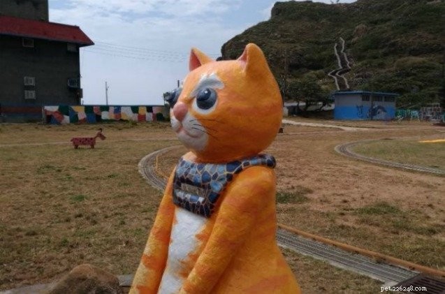 小さな台湾の町は観光のために子猫に変わります 