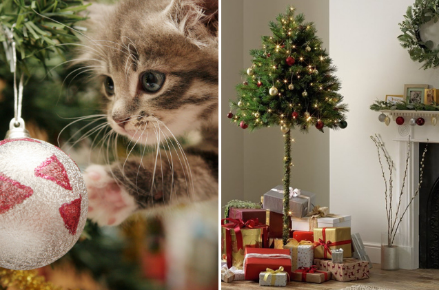 この天才ペットプルーフのクリスマスツリーは猫の飼い主を陽気なものにします 