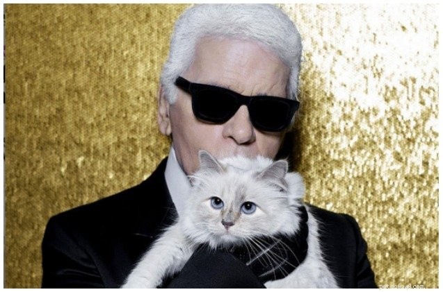 Modeikon Karl Lagerfeld lämnar sin älskade katt ett stort arv