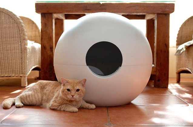 Er is nu een nieuwe (en slimme) kattenbak op Kickstarter