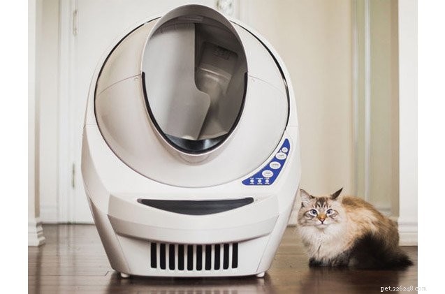 Waarom de Litter-Robot III de laatste kattenbak is die je nodig hebt