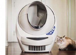 Почему Litter-Robot III — последний лоток, который вам понадобится