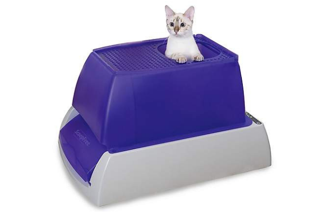 10 лучших самоочищающихся кошачьих туалетов