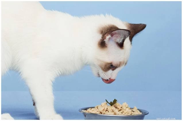 Ding-Dong! Smalls bezorgt het heerlijke diner van uw kat