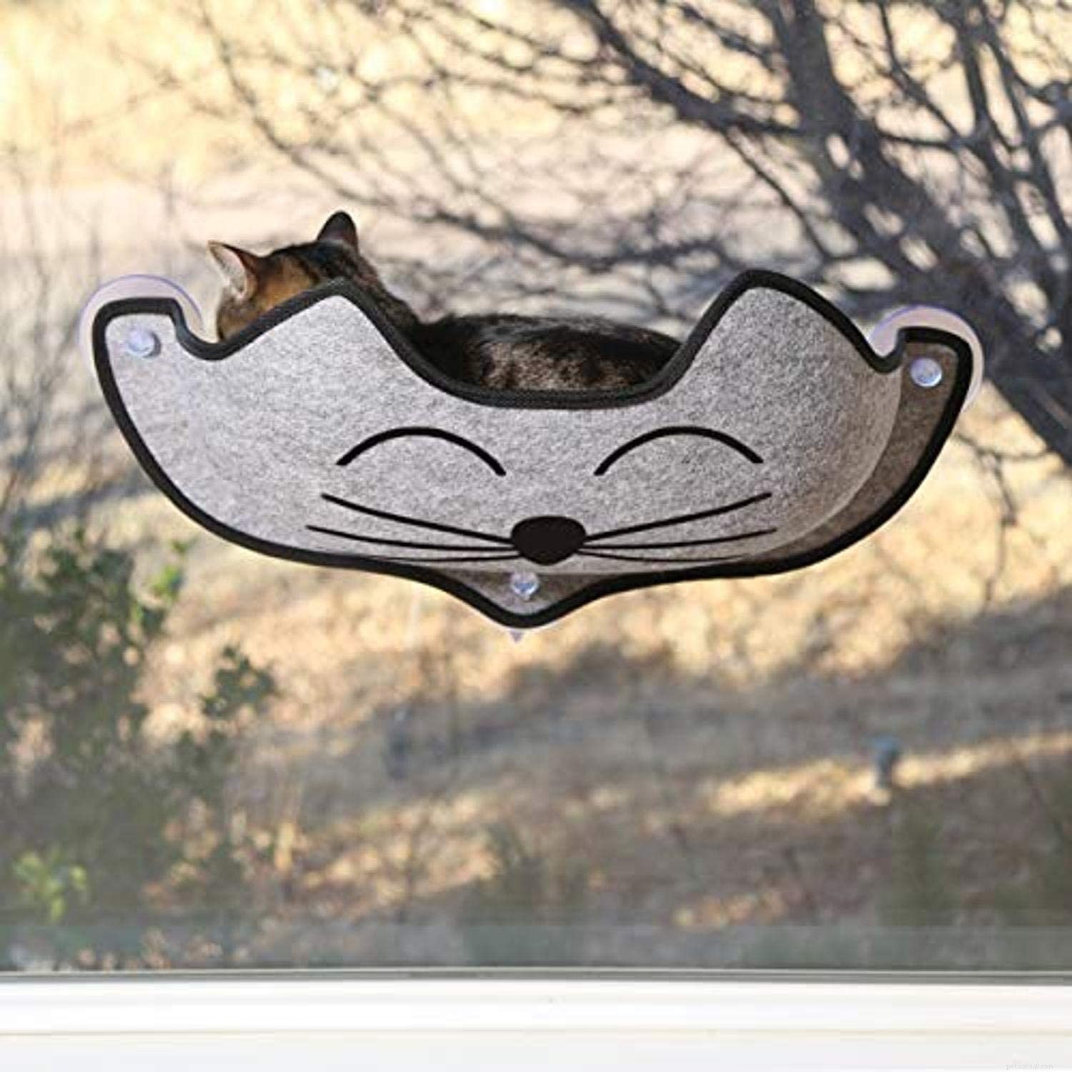Melhores poleiros de janela para gatos