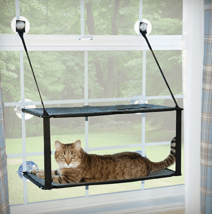 Beste raamzitstokken voor katten