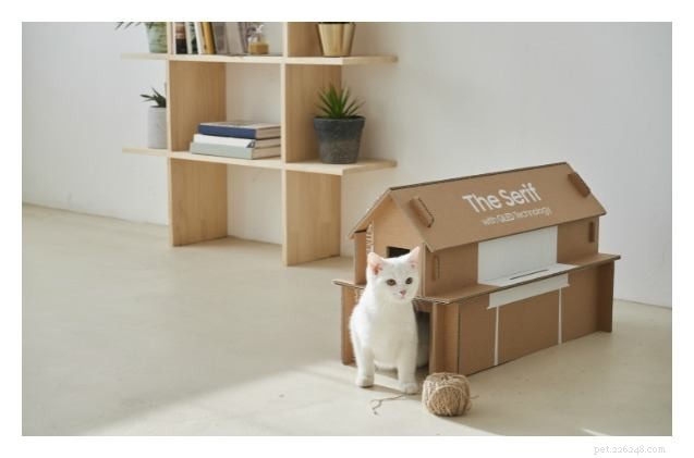고양이 집으로 변신한 삼성의 새 TV 박스
