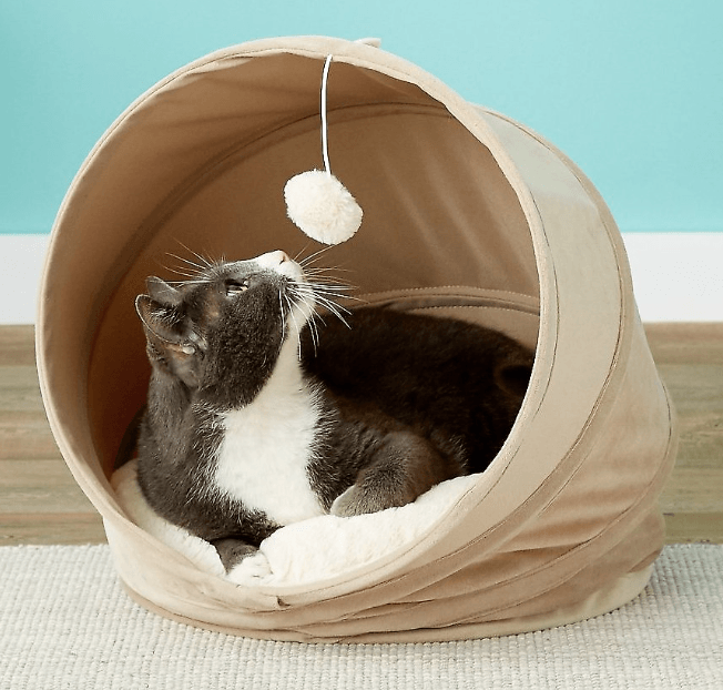 Les meilleurs lits couverts pour chat