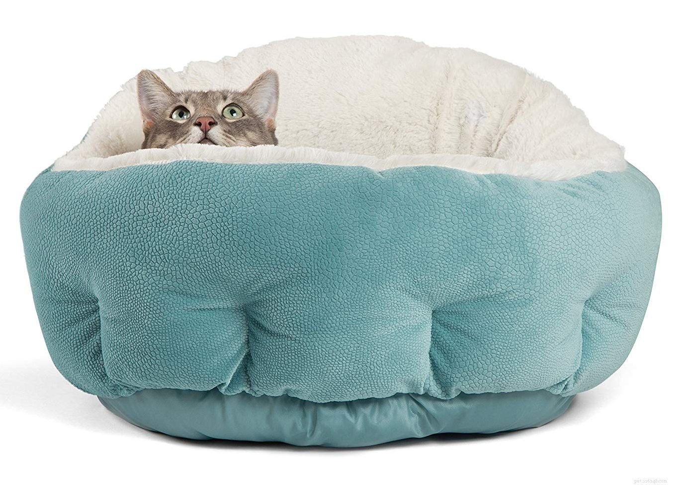 10 лучших лежаков для кошек