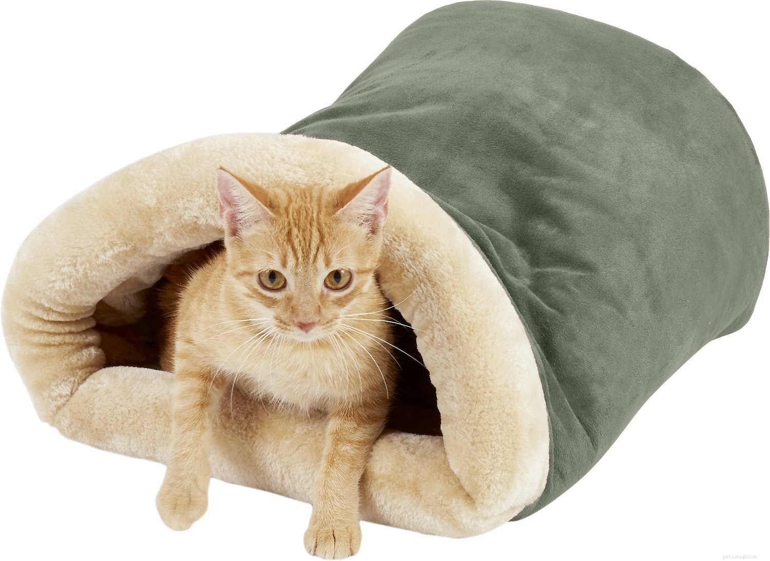 10 лучших лежаков для кошек