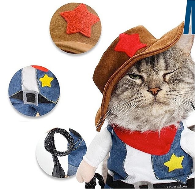 Top 10 des costumes de chat intelligents