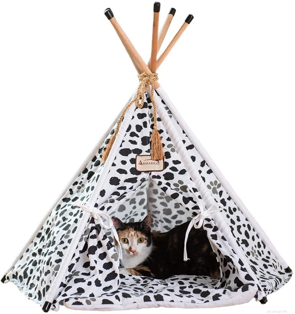Meilleures tentes pour chat