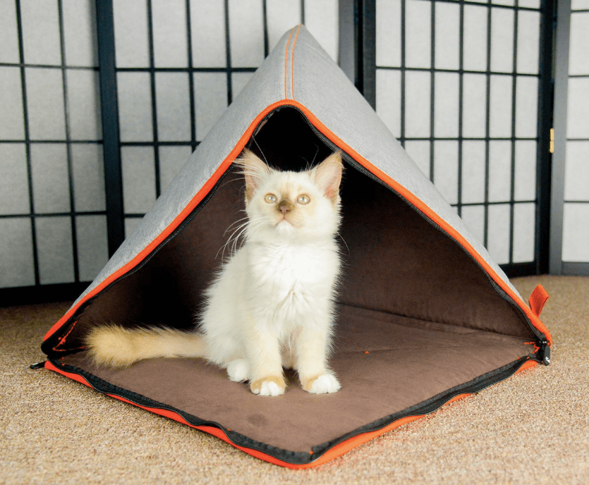 Лучшие палатки для кошек