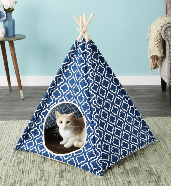 最高の猫のテント 