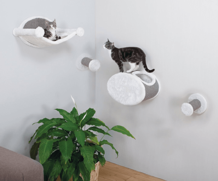 Bästa väggstolar för katter