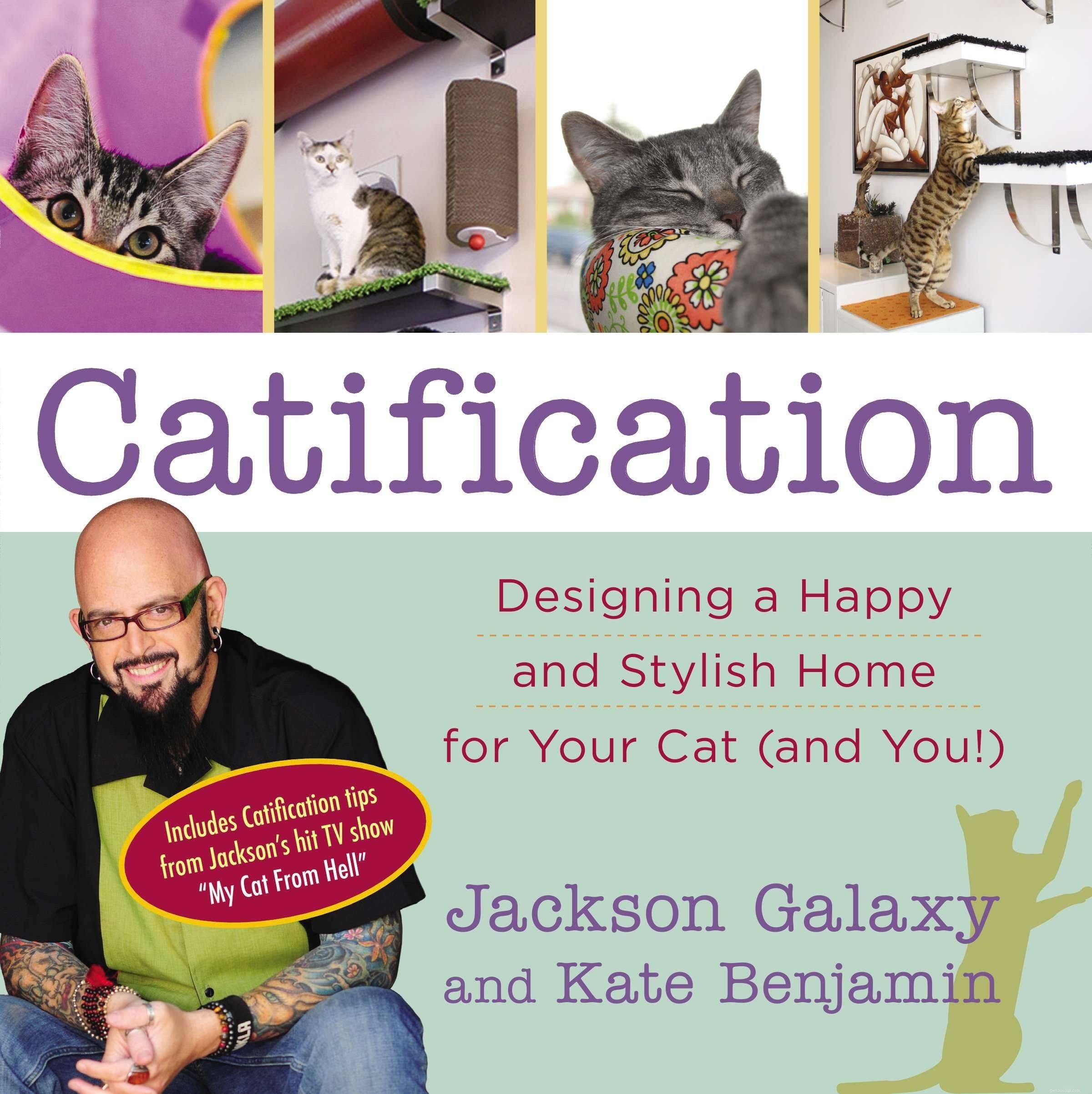10 livros essenciais para novos donos de gatos