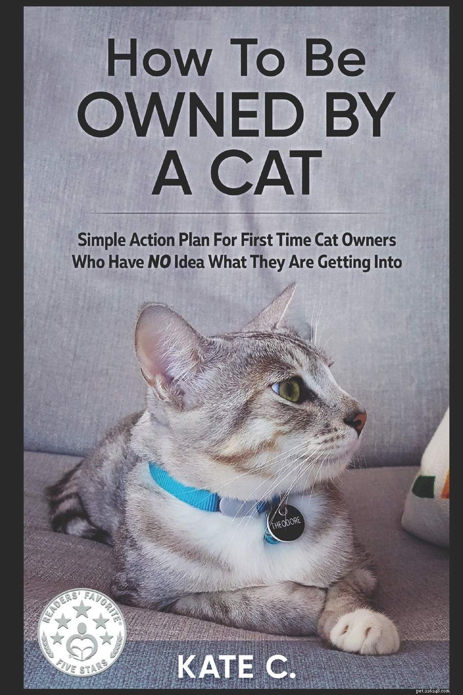 新しい猫の飼い主のためのトップ10のエッセンシャルブック 