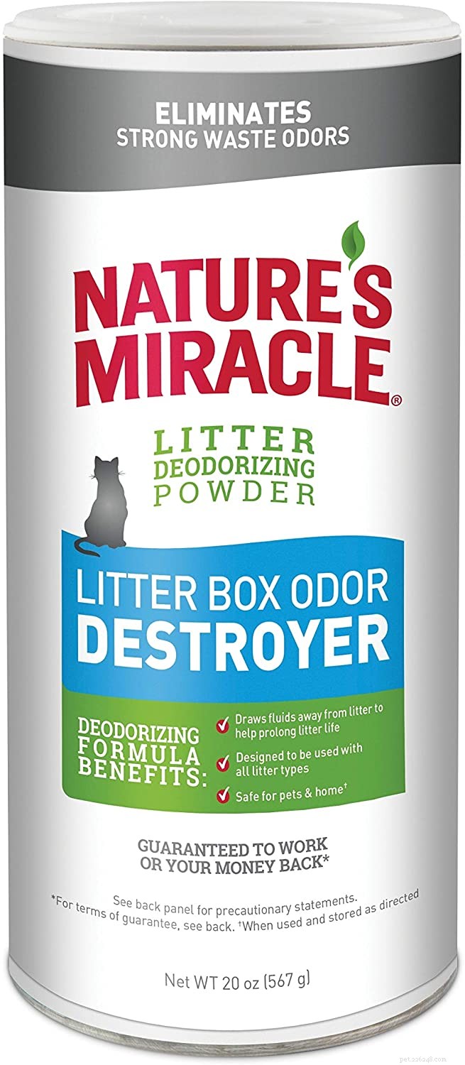 5 свежих и эффективных способов борьбы с запахом из кошачьего туалета
