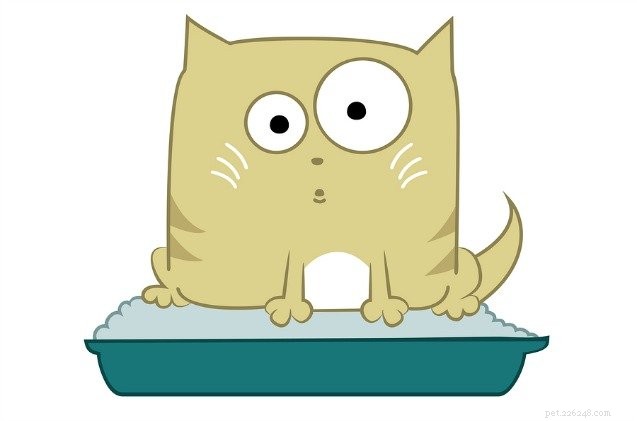 5 свежих и эффективных способов борьбы с запахом из кошачьего туалета