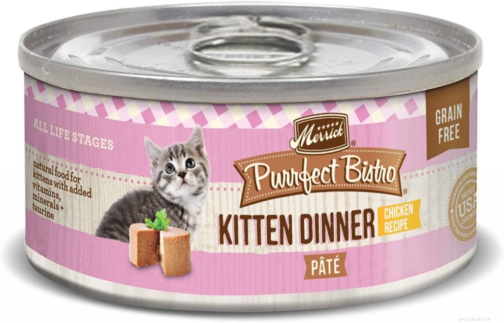 Nejlepší krmivo pro koťata