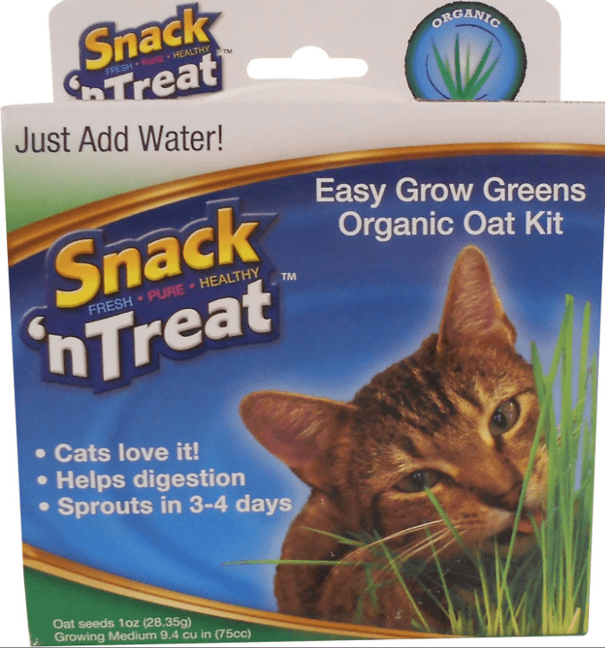 Лучшая трава для кошек