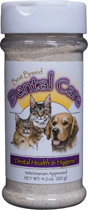 Bästa tandläkartillskott för katter