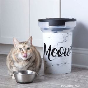 Лучшие контейнеры для хранения корма для кошек