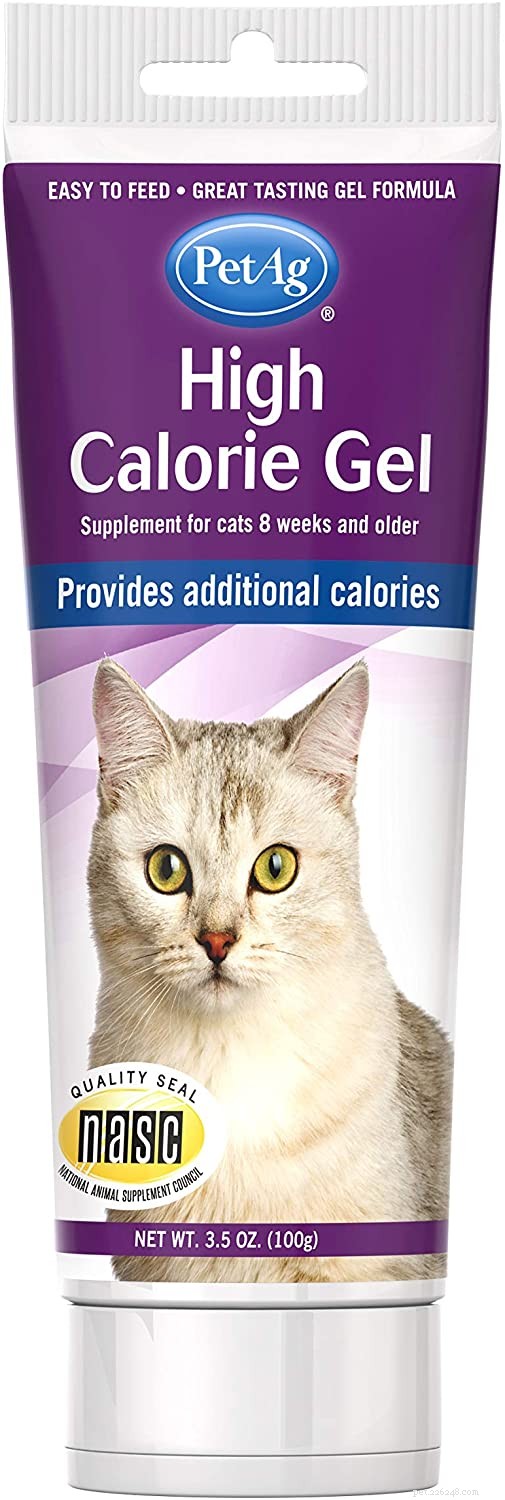 Beste supplementen voor gewichtstoename bij katten