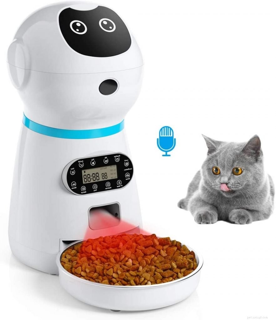 Melhores alimentadores automáticos para gatos