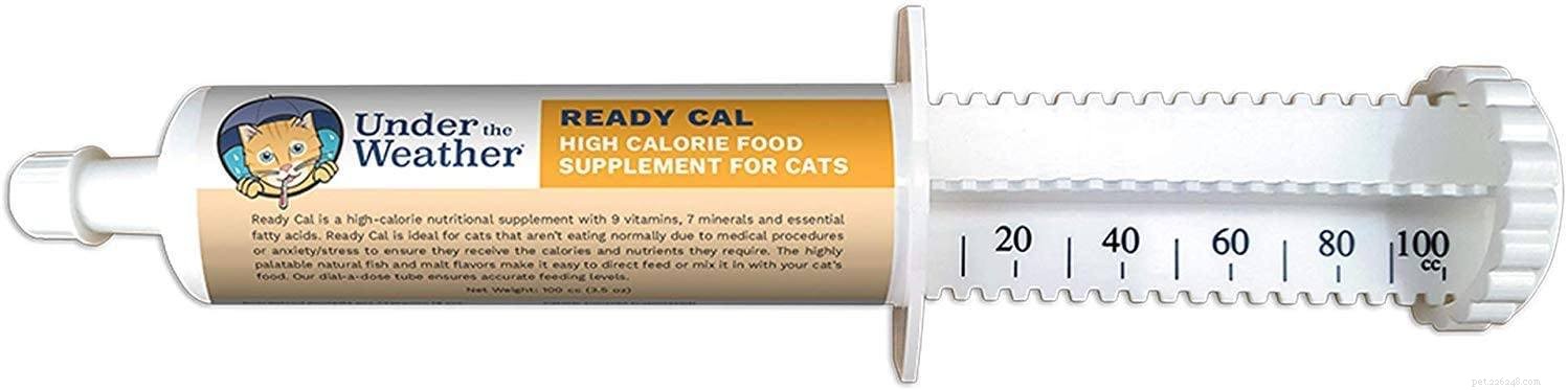 Beste supplementen voor gewichtstoename bij katten
