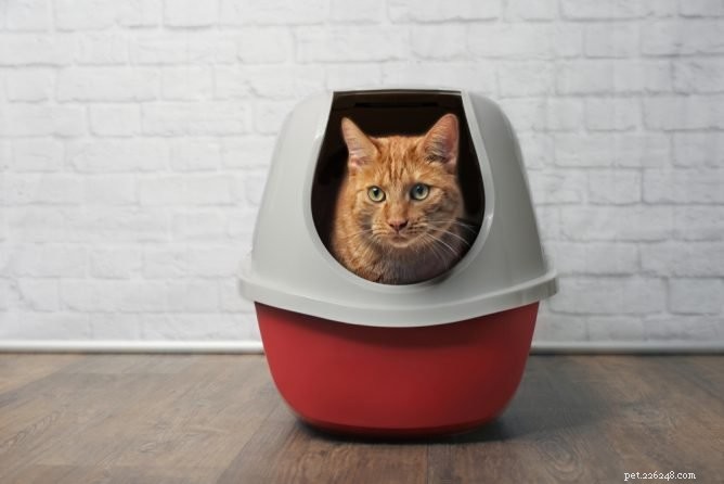 最高の猫のトイレのゴミ箱 
