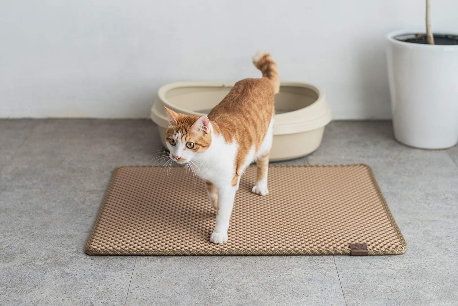Les meilleurs tapis de litière pour chat