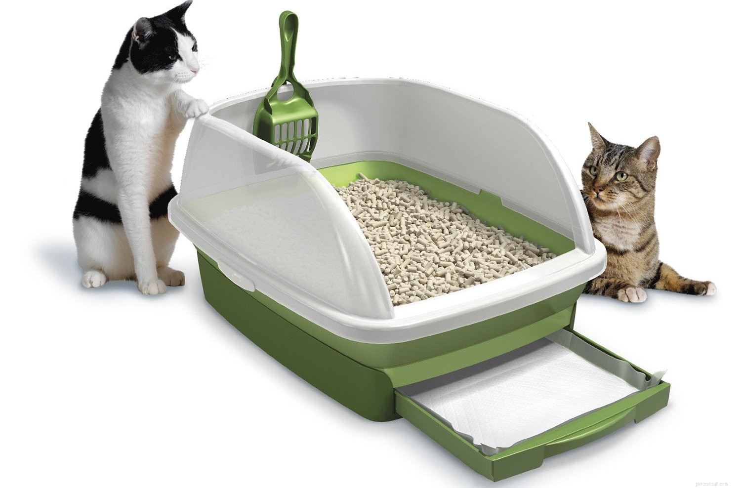 Melhores caixas de areia para gatos