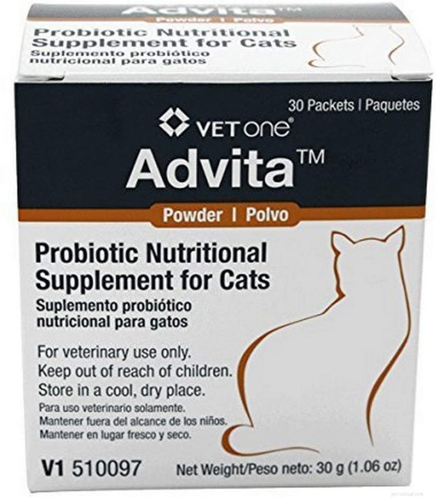 I migliori probiotici per gatti