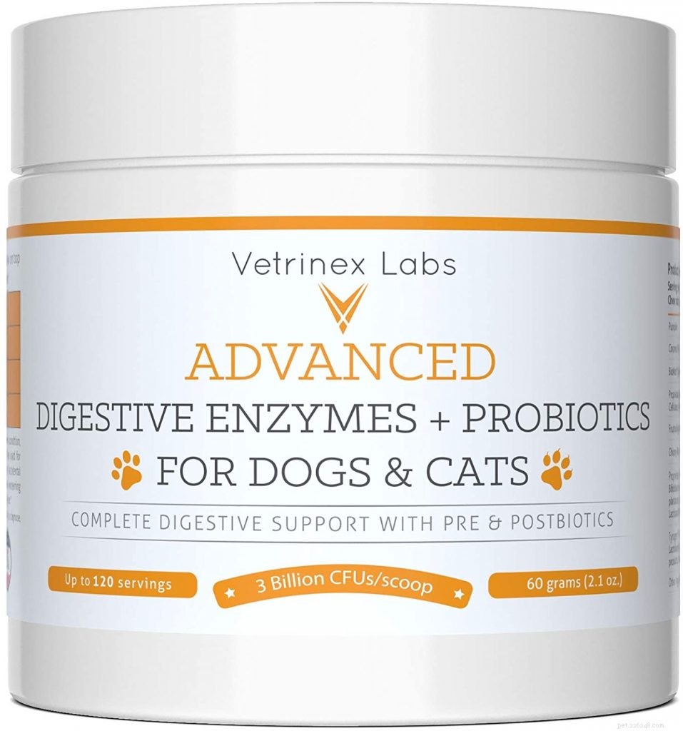 Beste probiotica voor katten