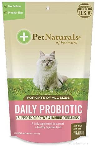 Bästa probiotika för katter