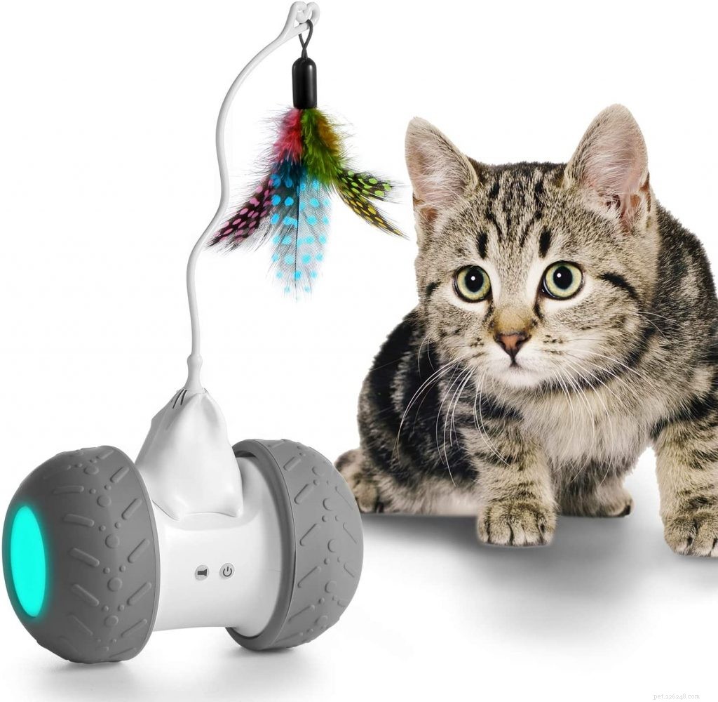 Náš průvodce nejlepšími interaktivními hračkami pro kočky   