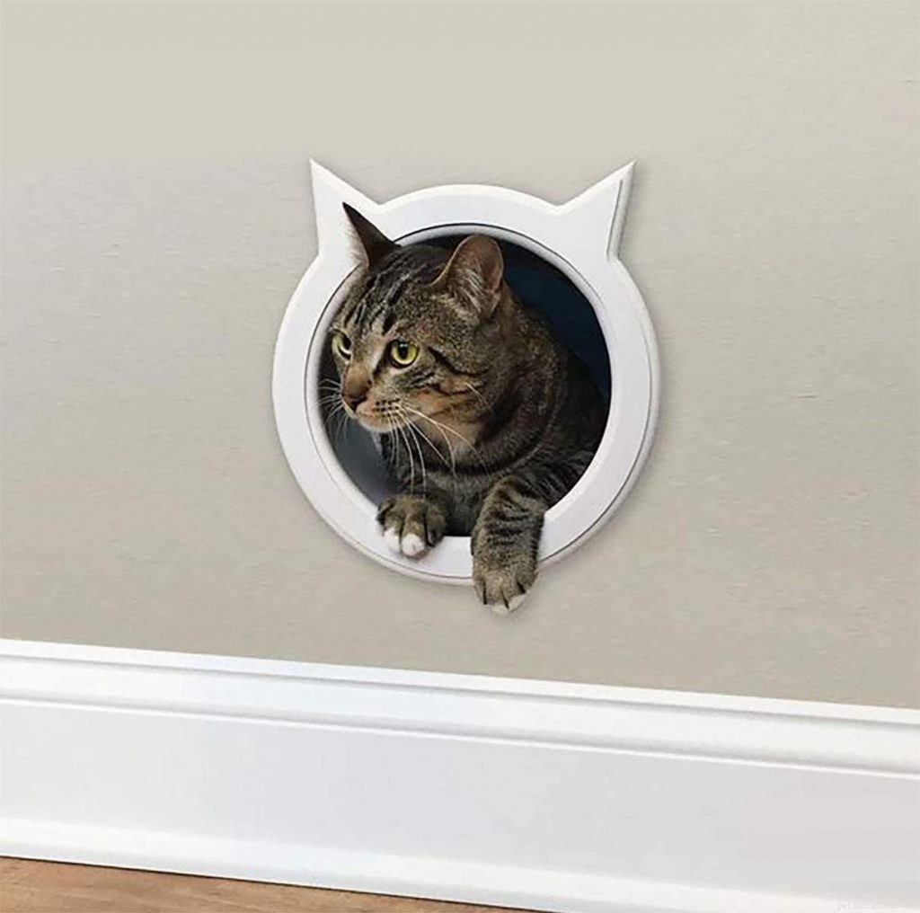 Лучшая дверь для кошек