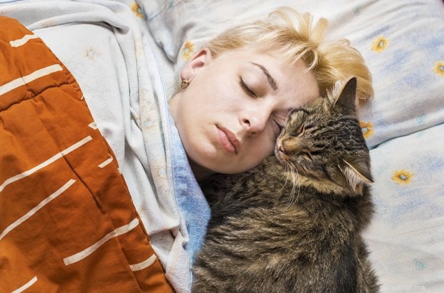 なぜあなたの猫はあなたの頭の上で寝るのが好きですか？ 