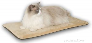 最高の加熱された猫のベッドの私達の選択 