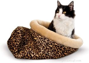 최고의 고양이 온열 침대 선택