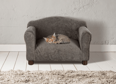Лучшие диваны для кошек