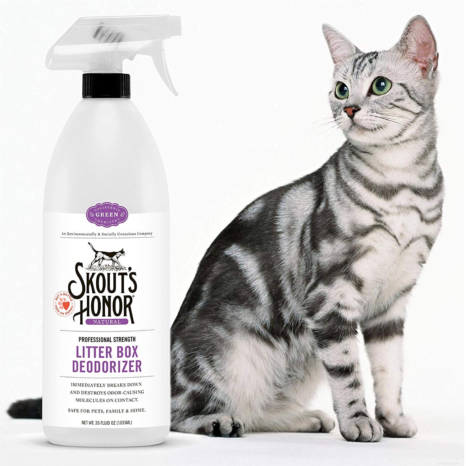 I migliori deodoranti per lettiere per gatti